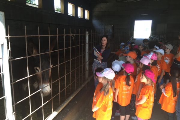 Agriturismo con sala corsi