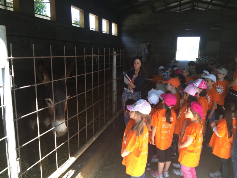 Visite guidate agli allevamenti