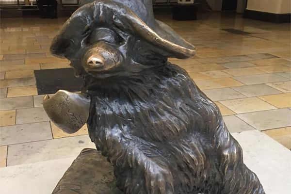 Impara con Paddington – Luglio 2019